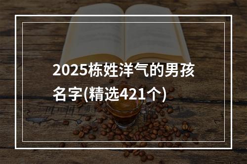 2025栋姓洋气的男孩名字(精选421个)
