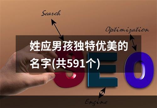 姓应男孩独特优美的名字(共591个)
