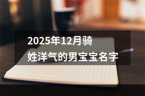 2025年12月骑姓洋气的男宝宝名字