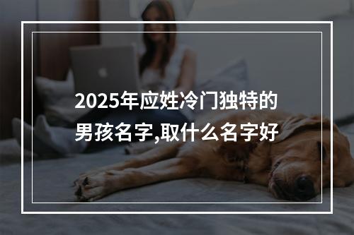 2025年应姓冷门独特的男孩名字,取什么名字好