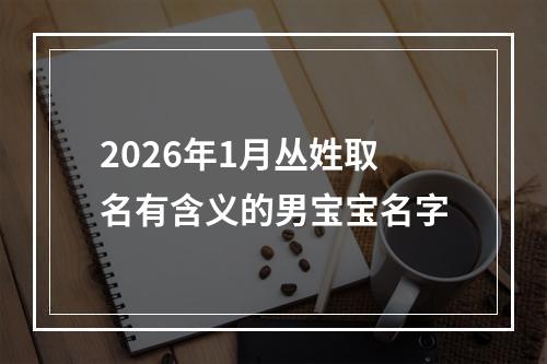 2026年1月丛姓取名有含义的男宝宝名字
