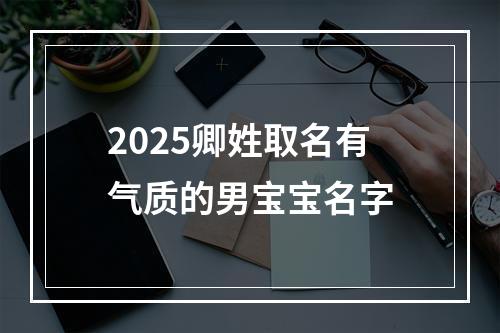 2025卿姓取名有气质的男宝宝名字