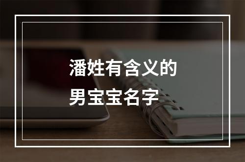 潘姓有含义的男宝宝名字