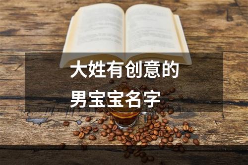大姓有创意的男宝宝名字