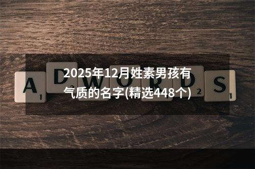 2025年12月姓素男孩有气质的名字(精选448个)