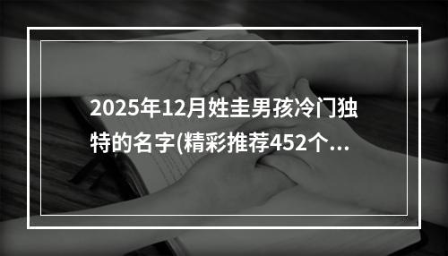 2025年12月姓圭男孩冷门独特的名字(精彩推荐452个)