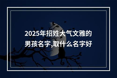 2025年招姓大气文雅的男孩名字,取什么名字好