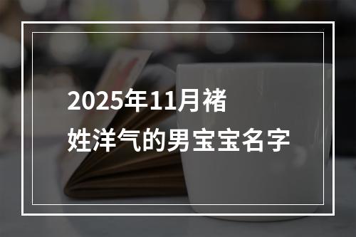 2025年11月褚姓洋气的男宝宝名字