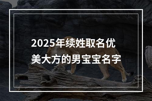 2025年续姓取名优美大方的男宝宝名字