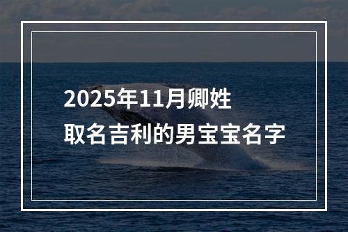 2025年11月卿姓取名吉利的男宝宝名字