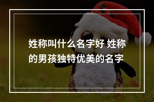 姓称叫什么名字好 姓称的男孩独特优美的名字