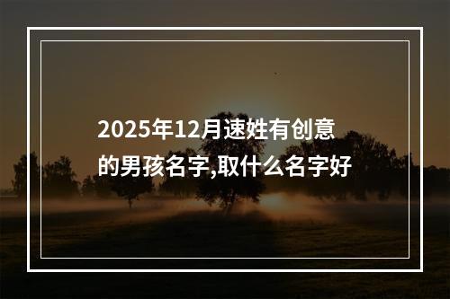 2025年12月速姓有创意的男孩名字,取什么名字好