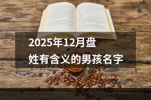 2025年12月盘姓有含义的男孩名字
