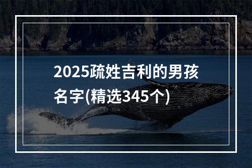 2025疏姓吉利的男孩名字(精选345个)