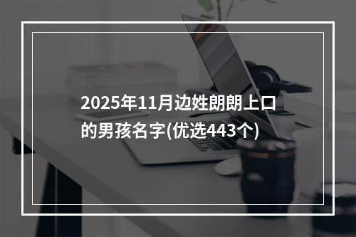 2025年11月边姓朗朗上口的男孩名字(优选443个)