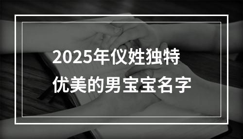 2025年仪姓独特优美的男宝宝名字