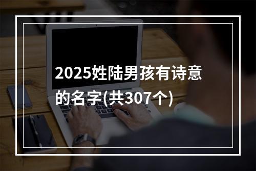 2025姓陆男孩有诗意的名字(共307个)