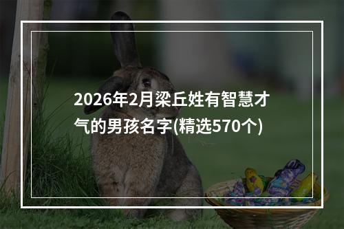 2026年2月梁丘姓有智慧才气的男孩名字(精选570个)