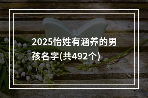 2025怡姓有涵养的男孩名字(共492个)