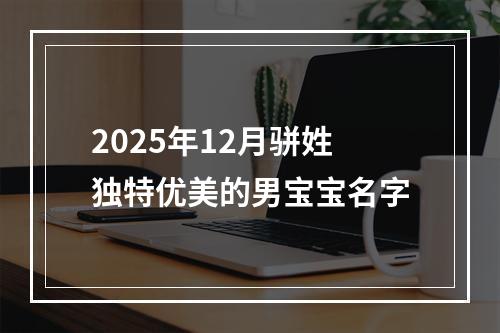 2025年12月骈姓独特优美的男宝宝名字