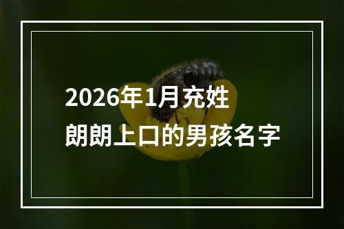 2026年1月充姓朗朗上口的男孩名字