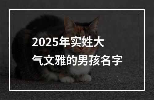 2025年实姓大气文雅的男孩名字
