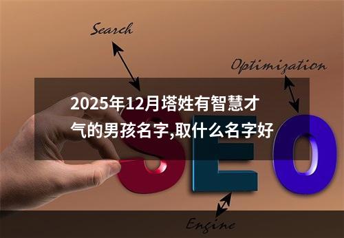 2025年12月塔姓有智慧才气的男孩名字,取什么名字好