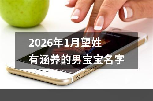 2026年1月望姓有涵养的男宝宝名字