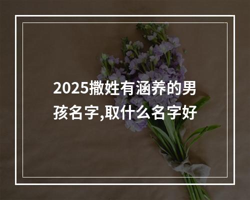 2025撒姓有涵养的男孩名字,取什么名字好