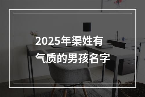 2025年渠姓有气质的男孩名字