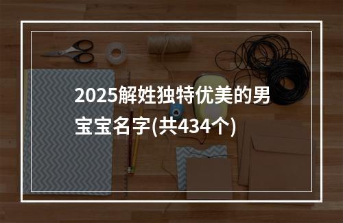 2025解姓独特优美的男宝宝名字(共434个)