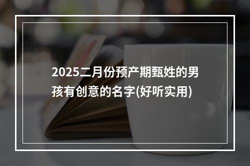 2025二月份预产期甄姓的男孩有创意的名字(好听实用)