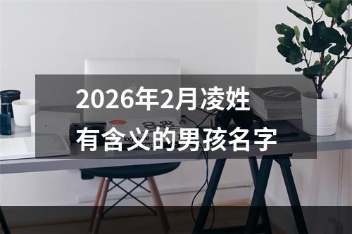 2026年2月凌姓有含义的男孩名字