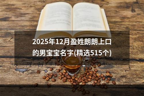2025年12月盈姓朗朗上口的男宝宝名字(精选515个)