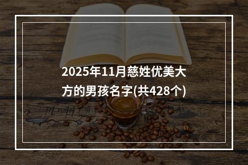 2025年11月慈姓优美大方的男孩名字(共428个)