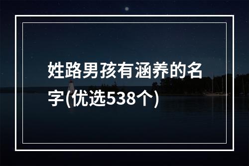 姓路男孩有涵养的名字(优选538个)