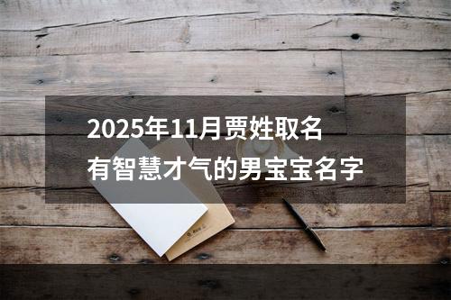 2025年11月贾姓取名有智慧才气的男宝宝名字