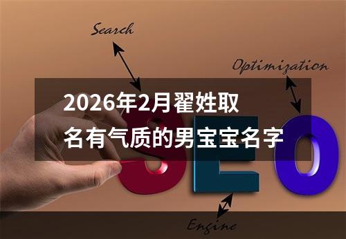 2026年2月翟姓取名有气质的男宝宝名字