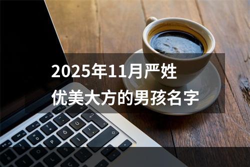 2025年11月严姓优美大方的男孩名字