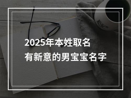 2025年本姓取名有新意的男宝宝名字