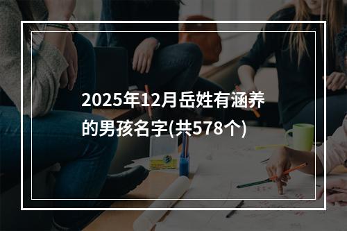 2025年12月岳姓有涵养的男孩名字(共578个)