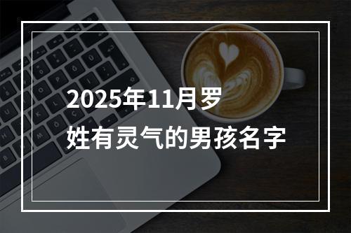2025年11月罗姓有灵气的男孩名字