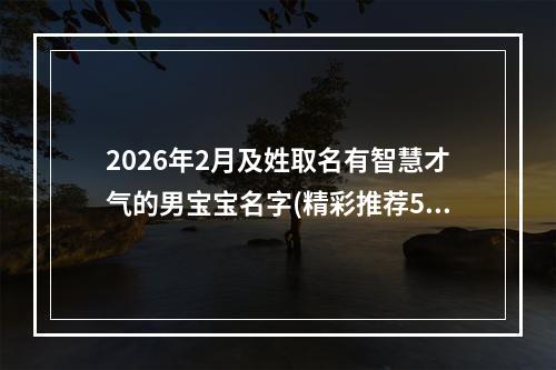 2026年2月及姓取名有智慧才气的男宝宝名字(精彩推荐583个)