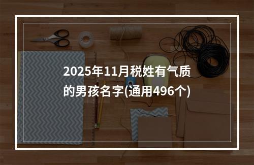 2025年11月税姓有气质的男孩名字(通用496个)