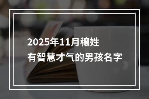2025年11月穰姓有智慧才气的男孩名字