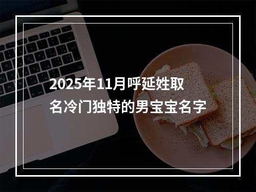 2025年11月呼延姓取名冷门独特的男宝宝名字
