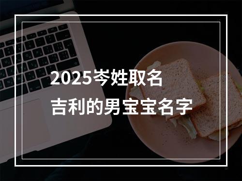 2025岑姓取名吉利的男宝宝名字