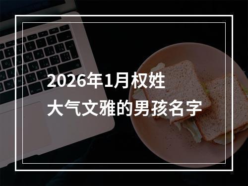 2026年1月权姓大气文雅的男孩名字