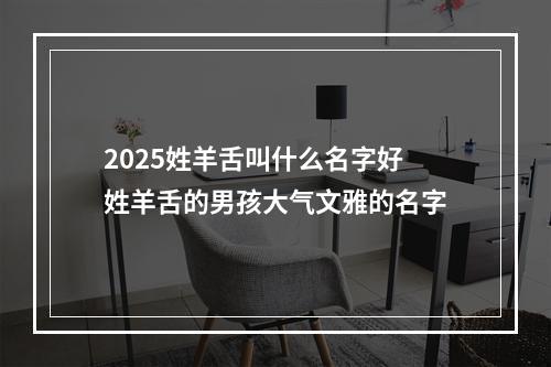 2025姓羊舌叫什么名字好 姓羊舌的男孩大气文雅的名字