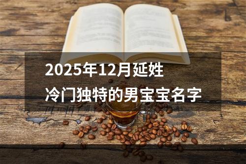 2025年12月延姓冷门独特的男宝宝名字